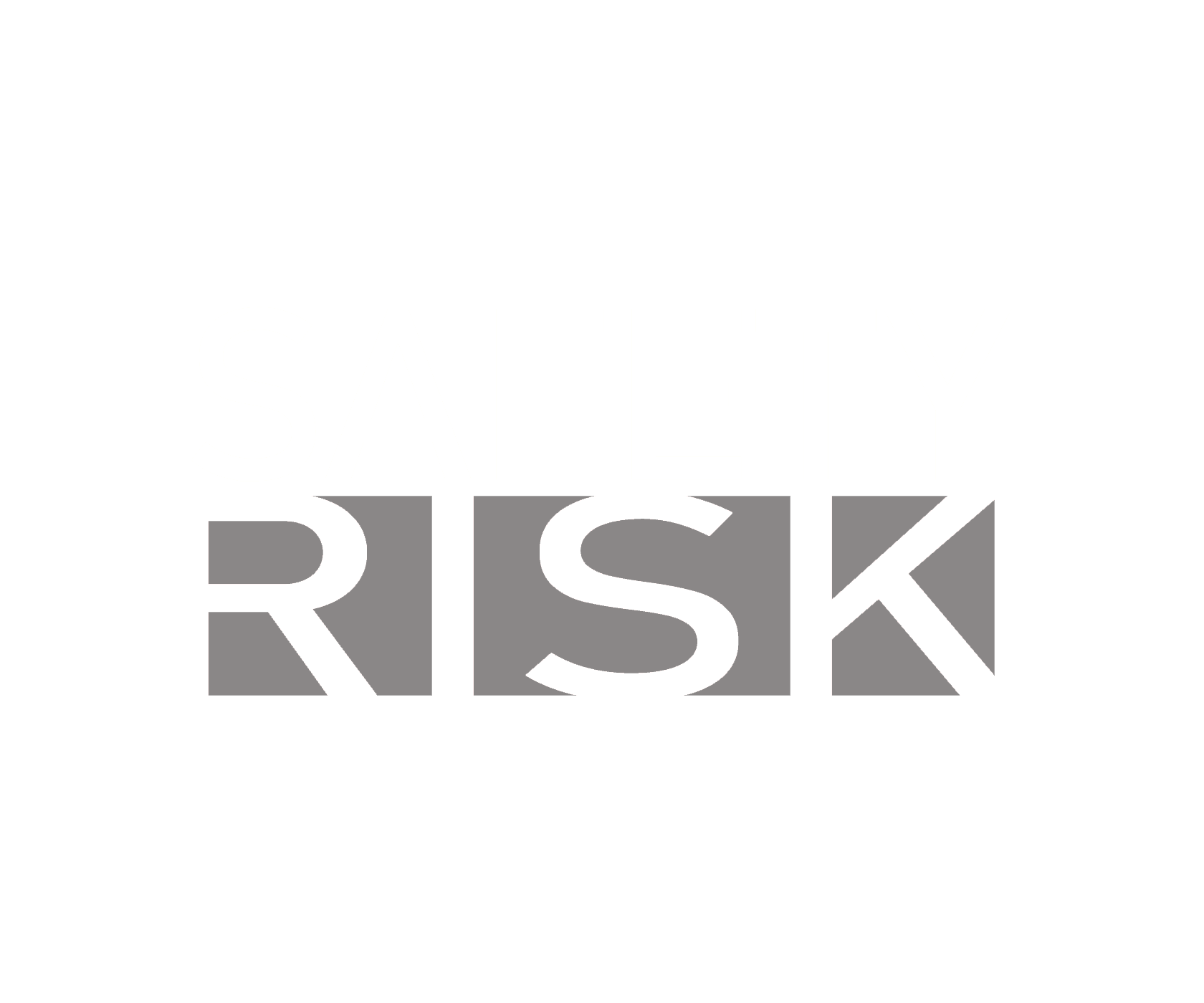 Safety Risk Ltda.